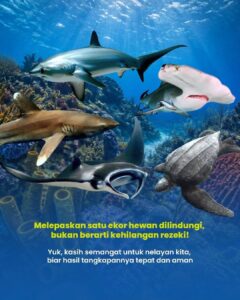 IMG-20260711-WA0106